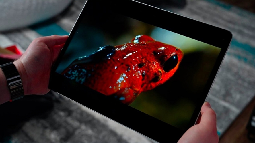 Apple có thể sử dụng màn hình OLED thay thế cho màn hình TFT trên iPad vào năm 2022