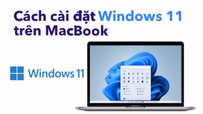 Cách cài đặt windows 11 trên MacBook, các lưu ý khi cài đặt?