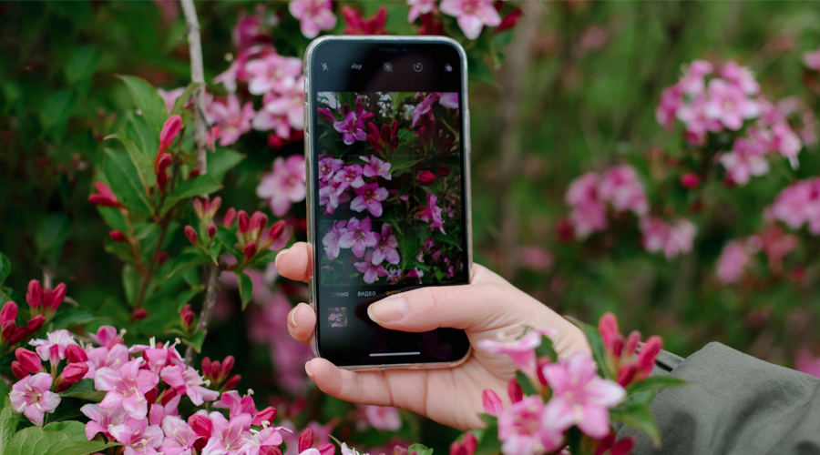 Điều chỉnh 10 cài đặt này trên camera iPhone sẽ giúp bạn chụp ảnh đẹp hơn