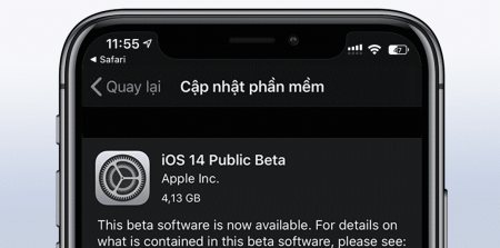 Trải nghiệm ngay iOS 14 iPadOS 14 Public Beta không cần máy tính, lên đời nào anh em!!!