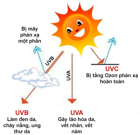 Tia UV là gì? nguy hiểm như thế nào?