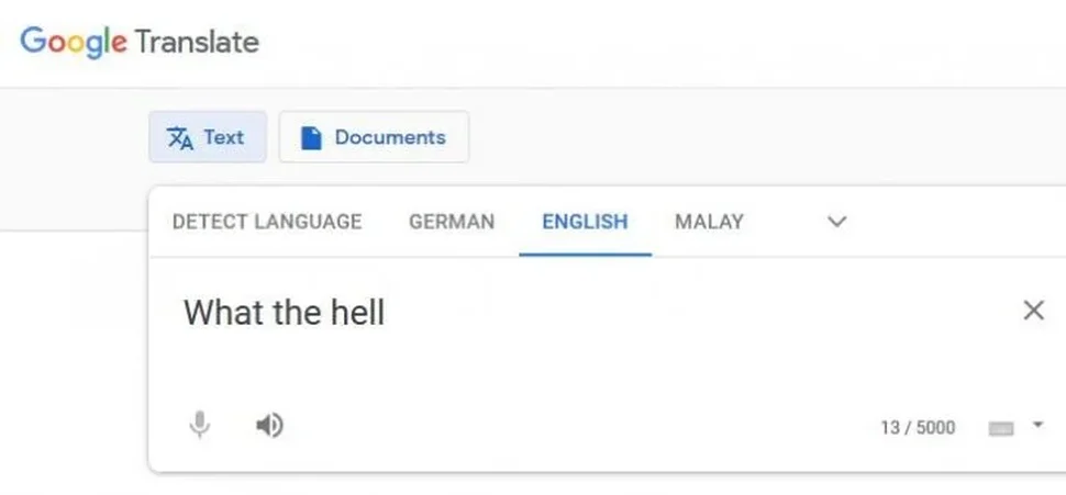 Google Dịch có thể làm gì?