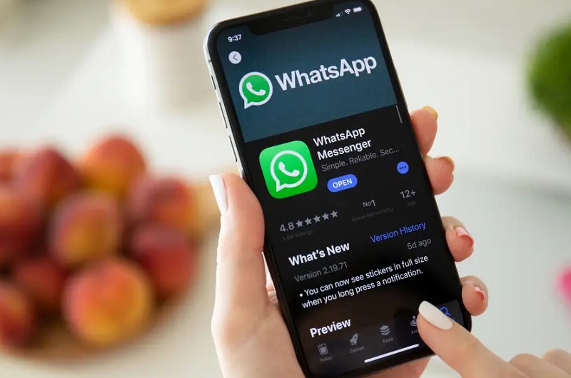 Xử lý WhatsApp không hoạt động trên iPhone